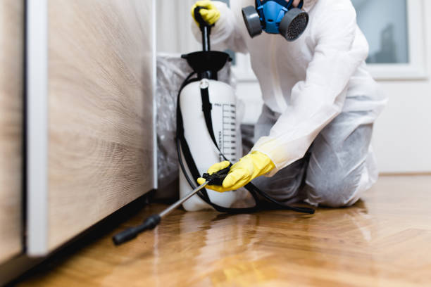 Best Pest Removal Services  in St James, MO