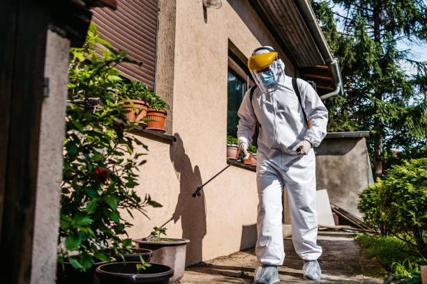 Best Local Pest Control Services  in St James, MO