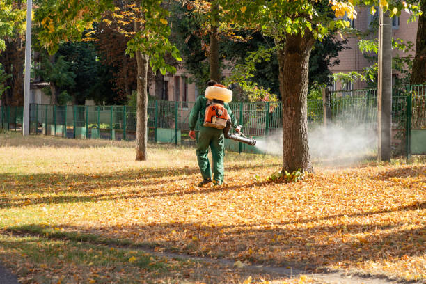 Best Commercial Pest Control Services  in St James, MO