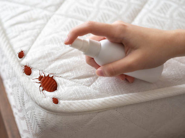 Best Emergency Pest Control  in St James, MO